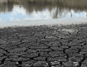 Dünya Meteoroloji Örgütü: Dünyanın su kaynakları giderek artan bir baskı altında