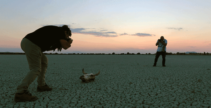Fotoğrafçılar kuruyan o göl için yeniden kuşları görüntülemek istiyor