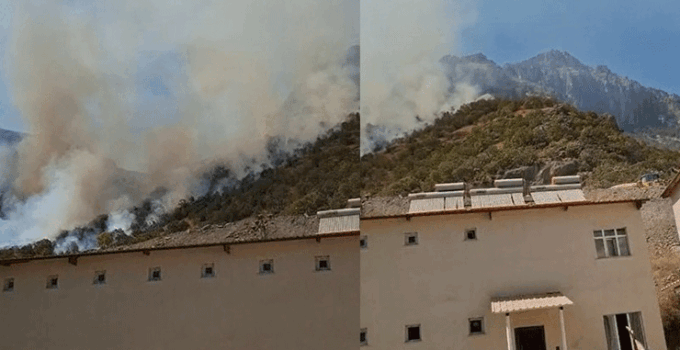 Hakkari-Çukurca kara yolundaki makilik alanda yangın çıktı
