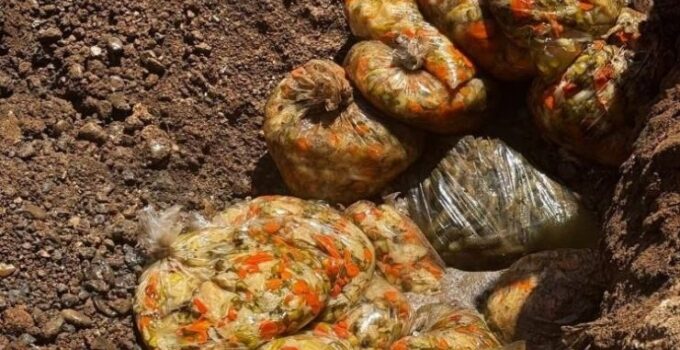 İnsan sağlığını tehdit eden kilolarca turşu imha edildi