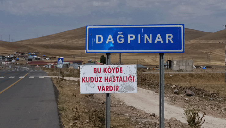 Kuduz vakası: Bir belde karantinaya alındı