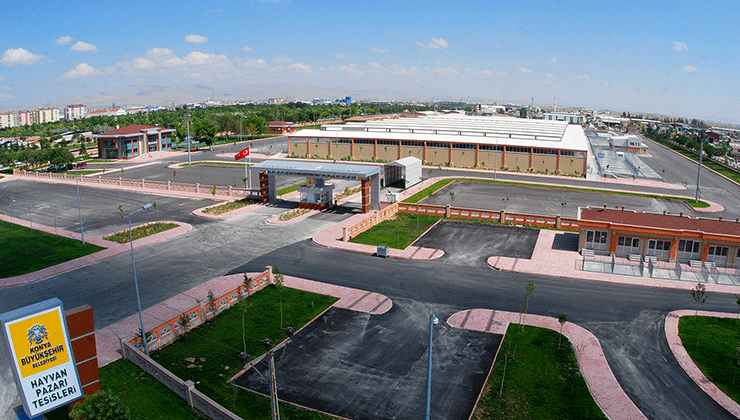 Konya’da hayvan pazarları yeniden açılıyor
