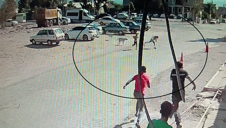 Köpeklerden kaçarken yere yığılan çocukların yardımına vatandaşlar yetişti