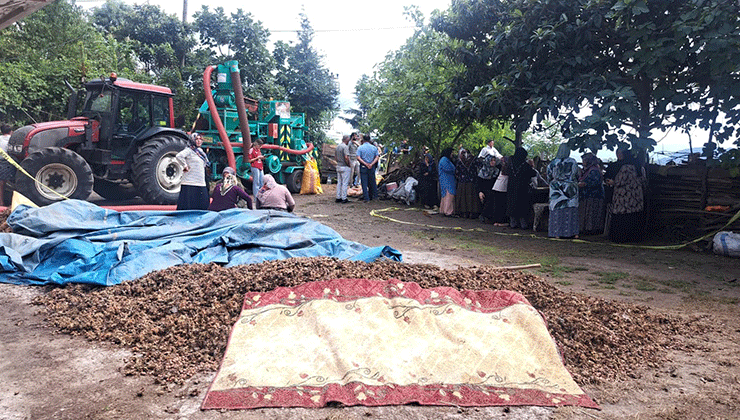 Ordu’da silahlı saldırı: 2 ölü