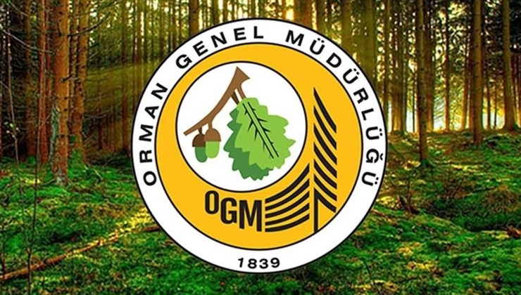 Orman Genel Müdürlüğü 262 daimi işçi alacak