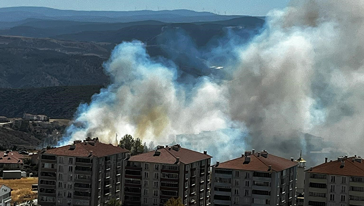 Salça yaparken çıkan kıvılcımla 30 dönüm makilik alanı kül oldu