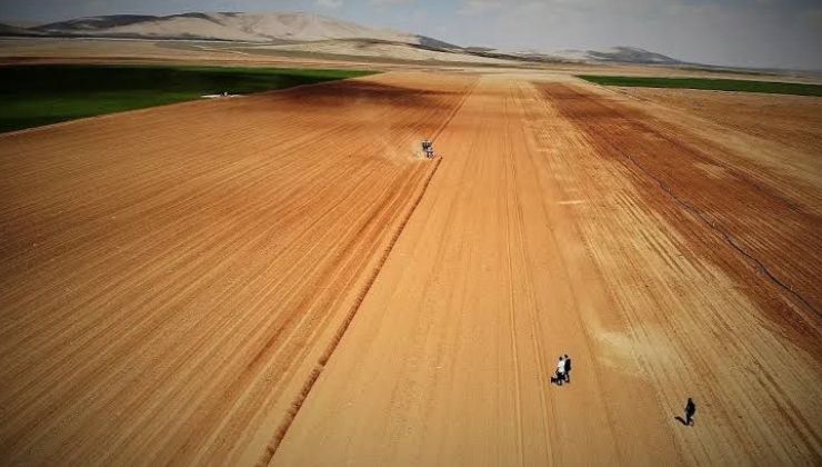 Tarımda yeni dönem: Genç ve kadın çiftçilere ek destek geliyor
