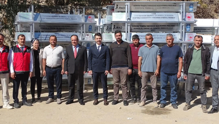 Taşkent’te üreticilere sıvat desteği