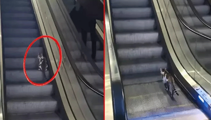 Türkiye’nin konuştuğu video viral oldu