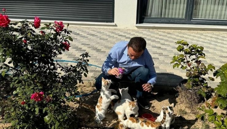 Bektaş’tan 4 Ekim mesajı