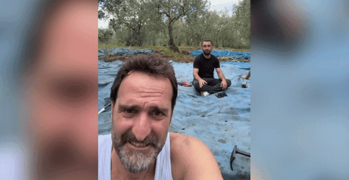Çakallarla Dans’ın Köfte Necmi’si ilk zeytin hasadını yaptı, işte o anlar