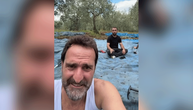 Çakallarla Dans’ın Köfte Necmi’si ilk zeytin hasadını yaptı, işte o anlar