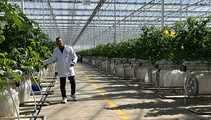 Konya Basını Ultra Klimalı Modern Domates Serasını gezdi