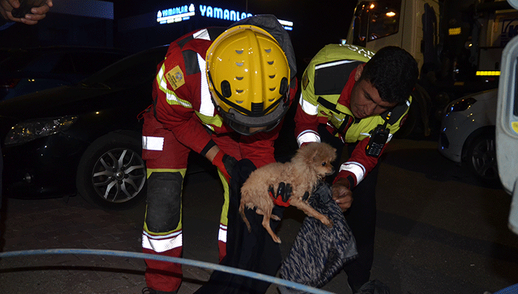 Konya’da kanalizasyon borusuna sıkışan köpek yavrusu itfaiyenin 6 saatlik çalışmasıyla kurtarıldı
