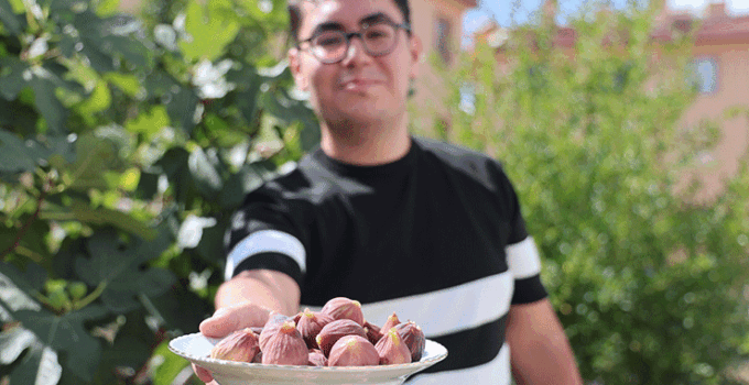 Konya’da yetişmesi zor bilinen inciri apartman bahçesinde yetiştirdi