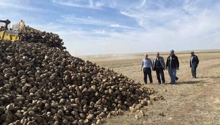 Kulu’da 2025 pancar hasadı zamanı