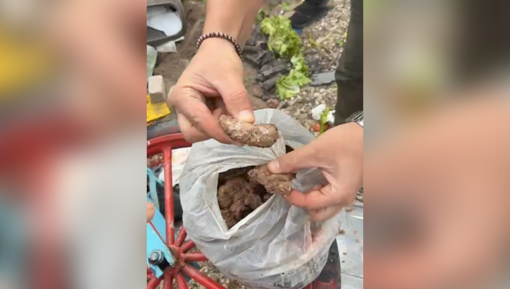 Taraftara bozuk köfteleri yedireceklerdi