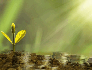 Türkiye’de bankaların iklim hedeflerine yönelik adımları sınırlı kaldı