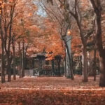 Başkan Altay’dan sonbahar paylaşımı