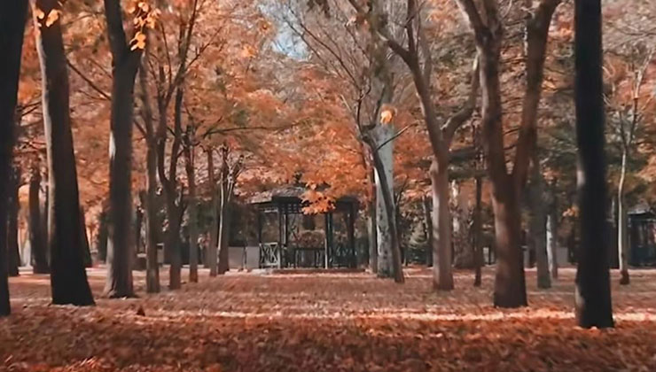 Başkan Altay’dan sonbahar paylaşımı