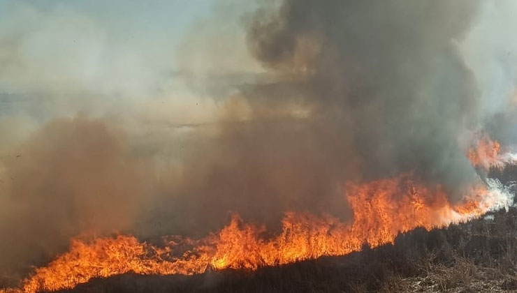 Beyşehir’de sazlıklar alev alev yandı