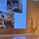 Çatalhöyük Konya’nın çok farklı bir yerleşim merkezi