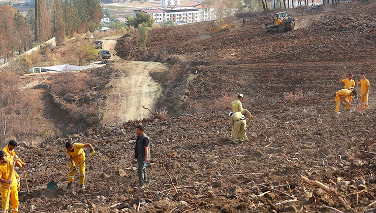 Hatay ve Kilis’te bir günde 44 bin 50 fidan toprakla buluşturulacak