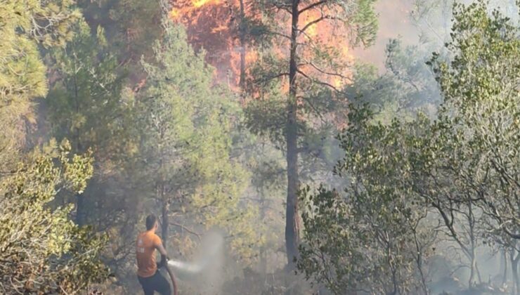 Hatay’da çıkan orman yangınına müdahale ediliyor