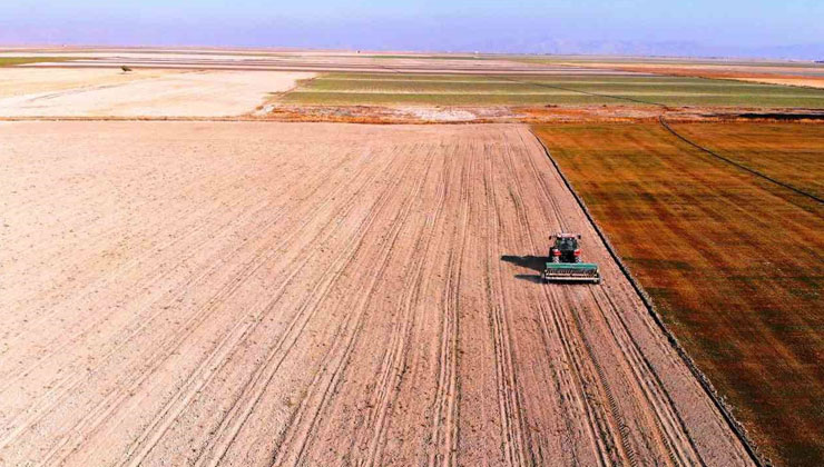 Hububat ambarı Konya Ovasında yağışlar yetersiz