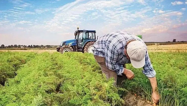 İl Tarım Müdürlüğünden önemli hatırlatma
