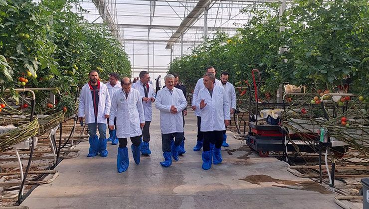İlçe tarım müdürleri sera incelemesinde bulundu