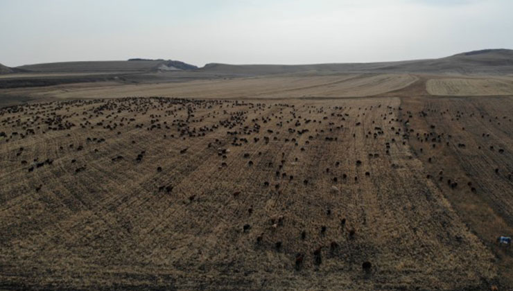 Kars’ta göçerlerin zorlu yolculuğu başladı