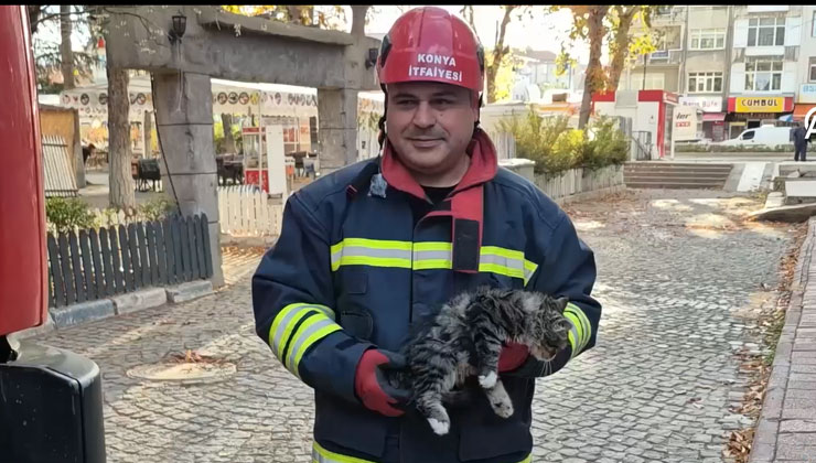 Konya’da ağaçta mahsur kalan kedi kurtarıldı