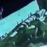 Konya’da ağıla giren kurt koyunu telef etti