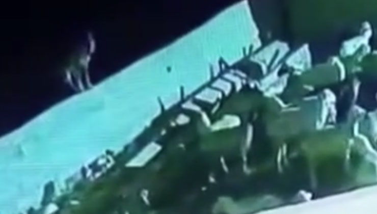 Konya’da ağıla giren kurt koyunu telef etti