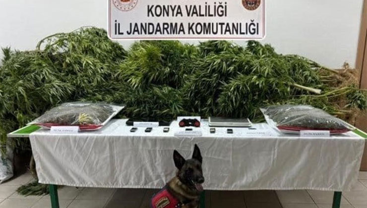 Konya’da çiftlik arazisine Hint keneviri ekilmesine ilişkin 2 sanığa hapis cezası