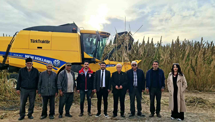 Konya’da endüstriyel kenevirin hasadı başladı