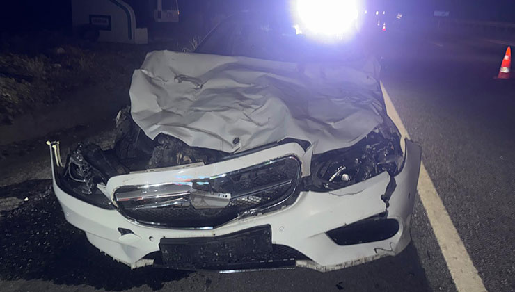 Konya’da otomobilin çarptığı 3 inek telef oldu