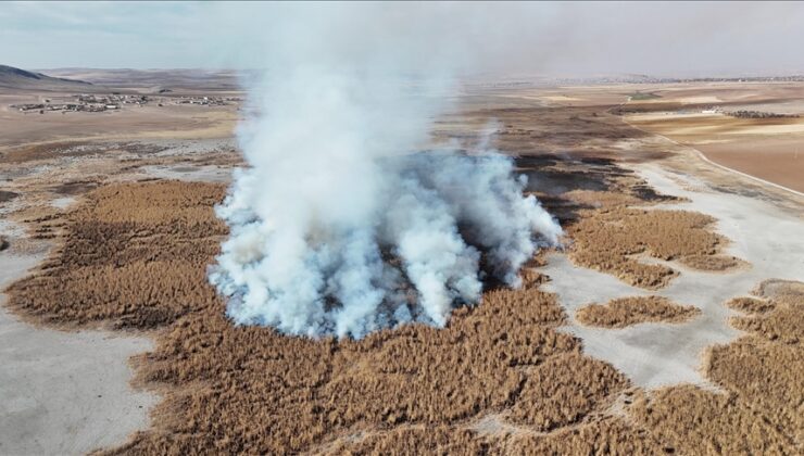 Konya’da tamamen kuruyan Gökgöl sazlıkları 2 gündür yanıyor