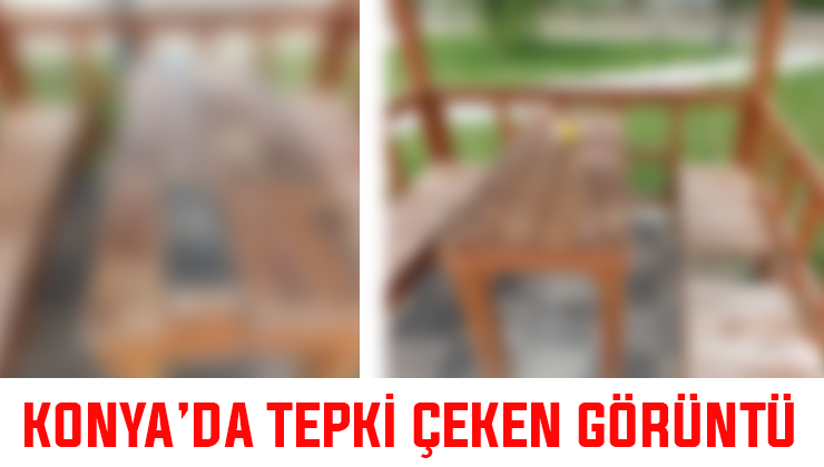 Konya’da üzücü manzara! “Yabani hayvan diyorum çünkü insan olamaz”