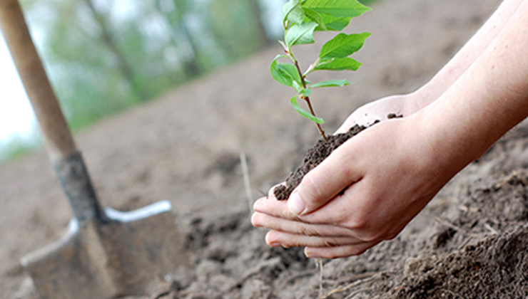 Konya’da yeşil yarınlar için seferberlik çağrısı