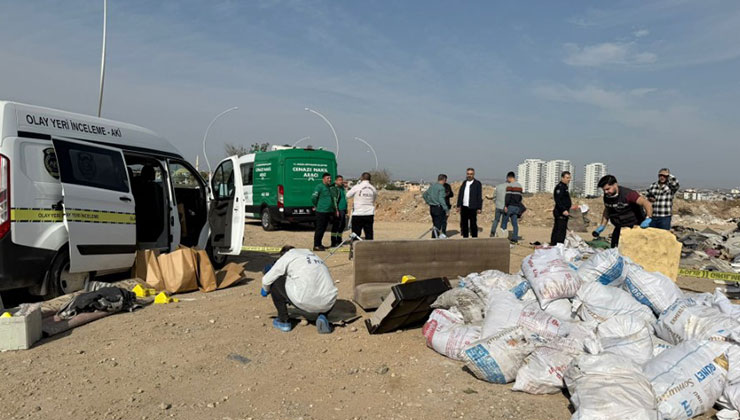 Mersin’de korkunç cinayet: Öldürüp tuzlayıp halıya sarıp çekyatla atmışlar