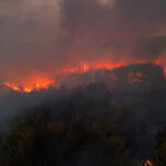 Minibüste başlayıp ormanlık alana sıçrayan yangınla ilgili 4 sanığa hapis istemi