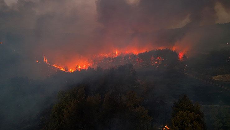 Minibüste başlayıp ormanlık alana sıçrayan yangınla ilgili 4 sanığa hapis istemi