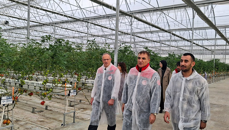 Müdür Seçen, topraksız üretim serasını inceledi