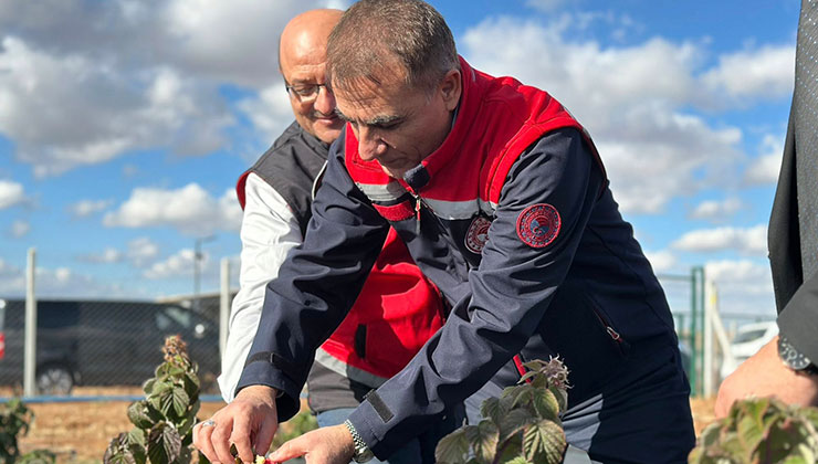 Müdür Seçen, üretici ziyaretlerine devam ediyor