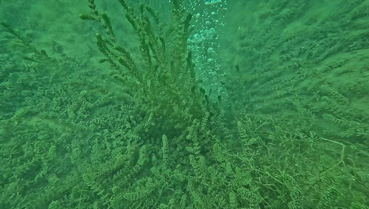 O göldeki kabarcıkların verdiği endişe artıyor: “Herkes korkuyor, rahat uyuyamıyoruz”