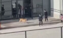 Okul bahçesinde başı boş köpek krizi, o anlar kamerada