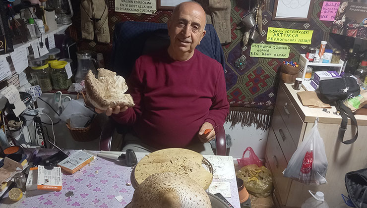 Seydişehir’de dev mantar görenleri şaşırttı