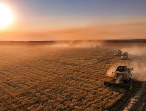 Tarımsal destek ödemesi hesaplara ne zaman yatacak belli oldu